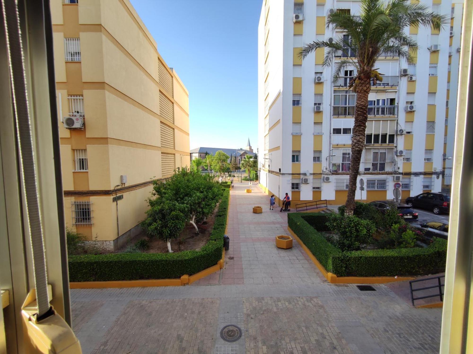Apartamento Celia Sewilla Zewnętrze zdjęcie